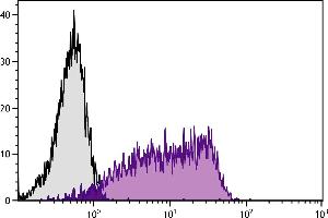 Human peripheral blood lymphocytes were stained with Mouse Anti-Human CD55-PE. (CD55 Antikörper  (FITC))