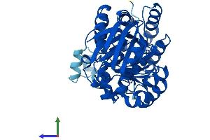 Protein Structure (PS) image for Amidohydrolase Domain Containing 1 (AMDHD1) (AA 1-426) protein (His tag) (ABIN7561268)