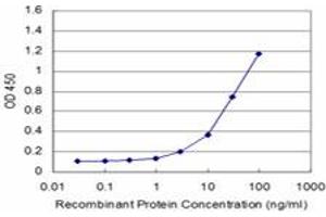 Detection limit for recombinant GST tagged CDC42BPB is approximately 1ng/ml as a capture antibody. (CDC42BPB Antikörper  (AA 1580-1679))