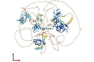 Protein Structure (PS) image for Wolf-Hirschhorn Syndrome Candidate 1-Like 1 (WHSC1L1) (AA 1-1437) protein (His tag) (ABIN7554796)