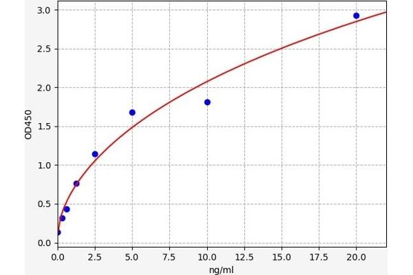 Hexosaminidase A ELISA Kit