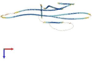 PMFBP1 Protein (AA 1-1022) (His tag)