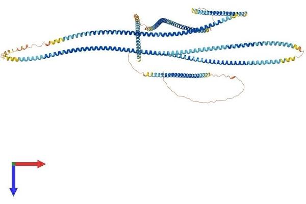 PMFBP1 Protein (AA 1-1022) (His tag)