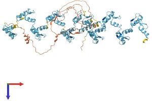ZNF160 Protein (AA 1-818) (His tag)