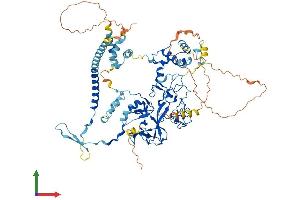 Protein Structure (PS) image for Enhancer of Zeste Homolog 1 (EZH1) (AA 1-747) protein (His tag) (ABIN7563525)