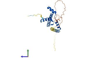 AlphaFold protein structure predicition of Mouse Recombinant Taf11 Protein, UniprotID Q99JX1