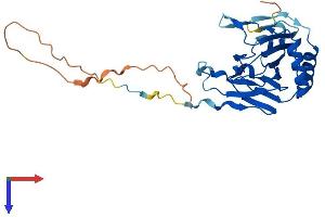 ALKBH3 Protein (AA 1-286) (His tag)
