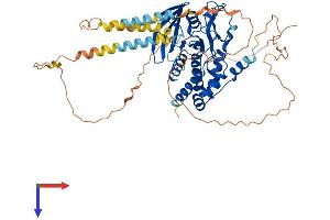 PTPN5 Protein (AA 1-565) (His tag)