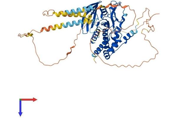 PTPN5 Protein (AA 1-565) (His tag)