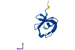 Protein Structure (PS) image for LSM6 Homolog, U6 Small Nuclear RNA Associated (LSM6) (AA 1-80) protein (Fc Tag) (ABIN7556603)
