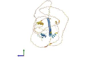AlphaFold protein structure predicition of Human Recombinant CREB5 Protein, UniprotID Q02930