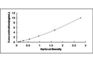 Typical standard curve (FECH ELISA Kit)