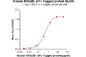 ELISA plate pre-coated by 2 μg/mL (100 μL/well) Human MICA, His tagged protein (ABIN6964102) can bind Human NKG2D, mFc tagged protein (ABIN6961134) in a linear range of 0. (KLRK1 Protein (mFc Tag))