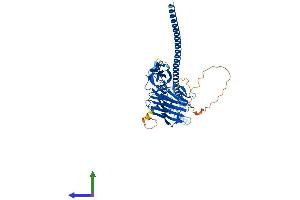 AlphaFold protein structure predicition of Mouse Recombinant Fsd1l Protein, UniprotID Q8BYN5
