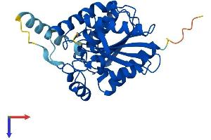MGLL Protein (AA 1-303) (His tag)