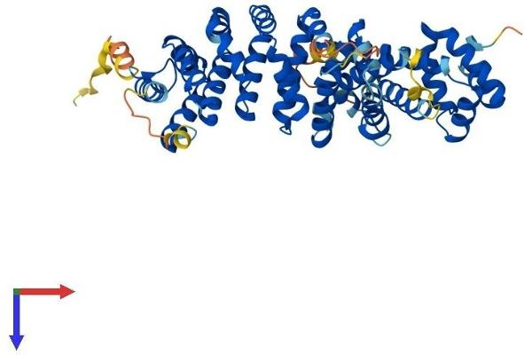 SAAL1 Protein (AA 1-474) (His tag)