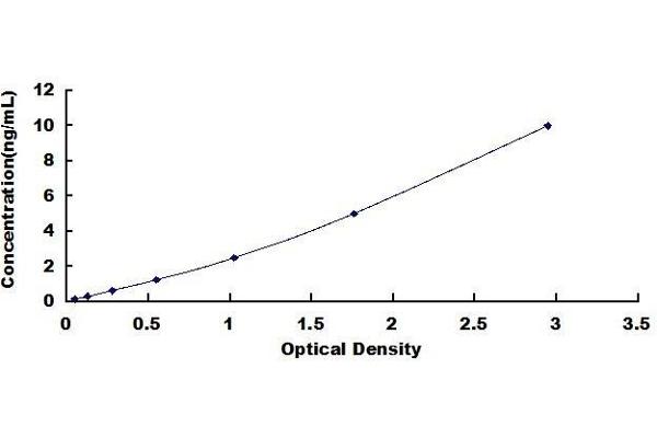 MMP 9 ELISA Kit