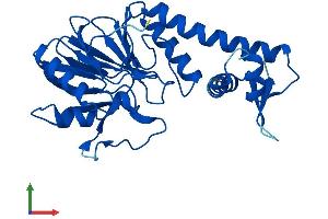 Protein Structure (PS) image for Lactamase, beta 2 (LACTB2) (AA 1-288) protein (His tag) (ABIN7560345)