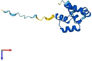 PLAC8 Protein (AA 1-112) (His tag)