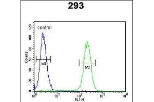 Flow Cytometry (FACS) image for anti-Roundabout, Axon Guidance Receptor, Homolog 4 (ROBO4) (AA 236-264), (N-Term) antibody (ABIN651292)