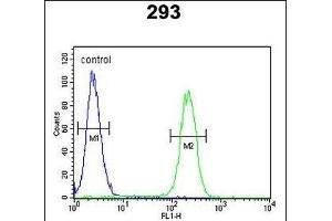 Roundabout 4 Antibody (N-term) (ABIN651292 and ABIN2840173) flow cytometric analysis of 293 cells (right histogram) compared to a negative control cell (left histogram). (ROBO4 Antikörper  (N-Term))