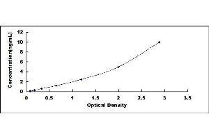 Typical standard curve (MOG ELISA Kit)