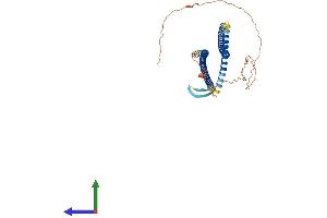 Protein Structure (PS) image for Keratin 12 (KRT12) (AA 1-487) protein (His tag) (ABIN7557821)