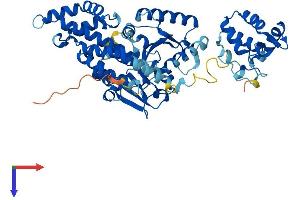 EHD3 Protein (AA 1-535) (His tag)