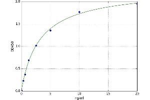Glycogen Synthase Kinase (GSK) ELISA Kit
