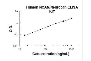 Neurocan (NCAN) ELISA Kit