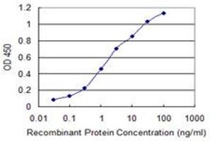 Detection limit for recombinant GST tagged CHIT1 is 0. (Chitotriosidase 1 Antikörper  (AA 60-169))