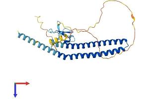 ING2 Protein (AA 1-280) (His tag)