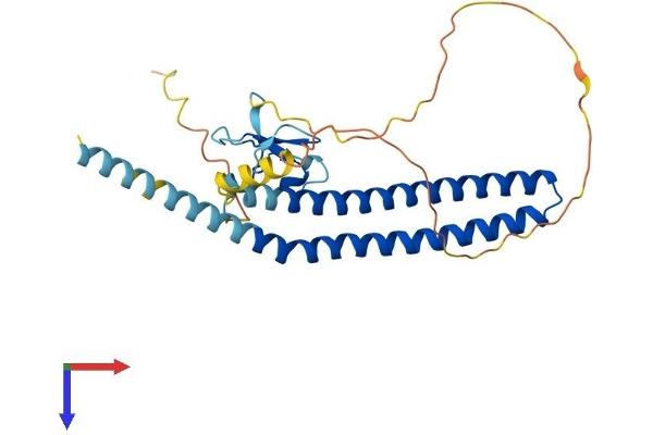 ING2 Protein (AA 1-280) (His tag)