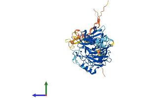 Protein Structure (PS) image for DDB1 and CUL4 Associated Factor 11 (DCAF11) (AA 1-549) protein (His tag) (ABIN7560001)