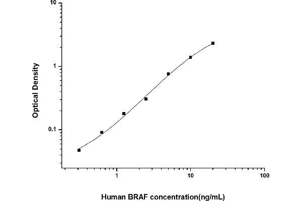 BRAF ELISA Kit