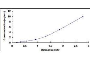 Sestrin 2 (SESN2) ELISA Kit