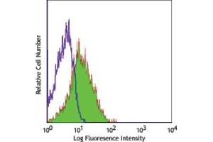 Image no. 1 for anti-Intercellular Adhesion Molecule 1 (ICAM1) antibody (ABIN205382) (ICAM1 Antikörper)