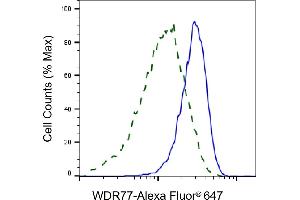 Validation of WDR77 knockdown using flow cytometry. (WDR77 Antikörper)