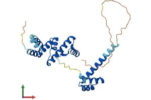 AlphaFold protein structure predicition of Mouse Recombinant Six6 Protein, UniprotID Q9QZ28