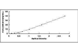 Caspase 8 ELISA Kit