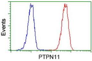 Image no. 3 for anti-Protein tyrosine Phosphatase, Non-Receptor Type 11 (PTPN11) antibody (ABIN1500499) (PTPN11 Antikörper)
