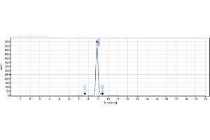 anti-VEGFR2 (Ramucirumab Biosimilar) antibody