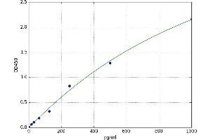 Thymic Stromal Lymphopoietin (TSLP) ELISA Kit
