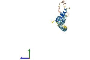 Protein Structure (PS) image for Syntaxin 8 (STX8) (AA 1-236) protein (His tag) (ABIN7562698)