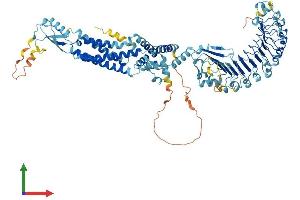Protein Structure (PS) image for Leucine Rich Repeat Containing 8 Family, Member B (LRRC8B) (AA 1-803) protein (His tag) (ABIN7563810)