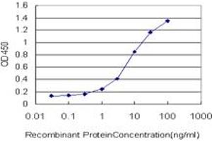 Detection limit for recombinant GST tagged HDAC1 is approximately 0. (HDAC1 Antikörper  (AA 1-482))