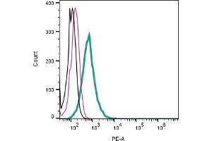 Cell surface detection of Robo3 by indirect flow cytometry in live intact mouse J774 macrophage cell line: + goat-anti-rabbit-PE.