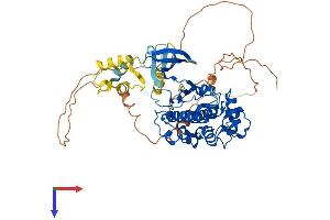 CDK17 Protein (AA 1-523) (His tag)