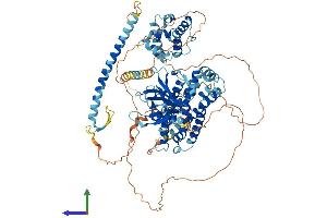 Protein Structure (PS) image for rho Guanine Nucleotide Exchange Factor (GEF) 7 (ARHGEF7) (AA 1-862) protein (His tag) (ABIN7565057)
