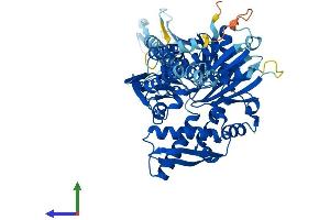 Protein Structure (PS) image for Heat Shock 70kDa Protein 2 (HSPA2) (AA 1-633) protein (His tag) (ABIN7562910)
